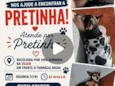 Pretinha