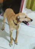 Bob