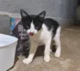 Mel