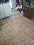 Lua