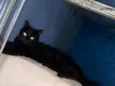 Lilith