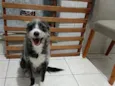 Zeca