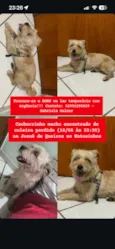 Sem nome 