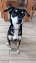 Nikita