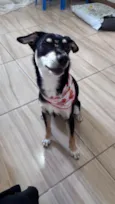 Nikita