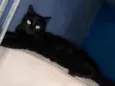 Lilith