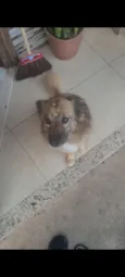 Lulu e Eudora