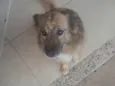 Lulu e Eudora
