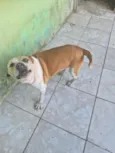 Pandora