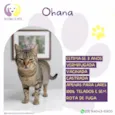 Ohana