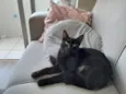 nina