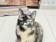 Gamora