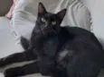 nina