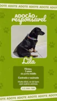 Lila