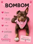 Bombom