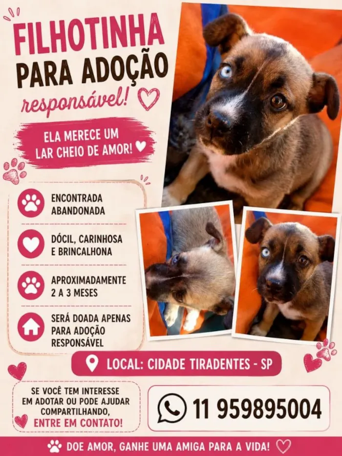 Cachorro raça SRD-ViraLata idade Abaixo de 2 meses nome sem nome definido 