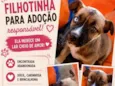 sem nome definido 