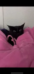 Lua