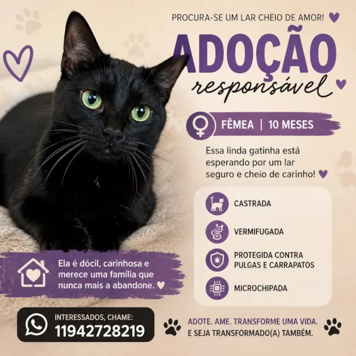 Gato raça SRD-ViraLata idade 7 a 11 meses nome Lua