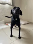 Eduardo