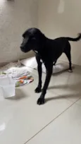 Eduardo