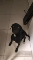 Eduardo