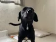 Eduardo