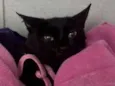 Lua