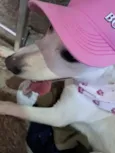 Lua