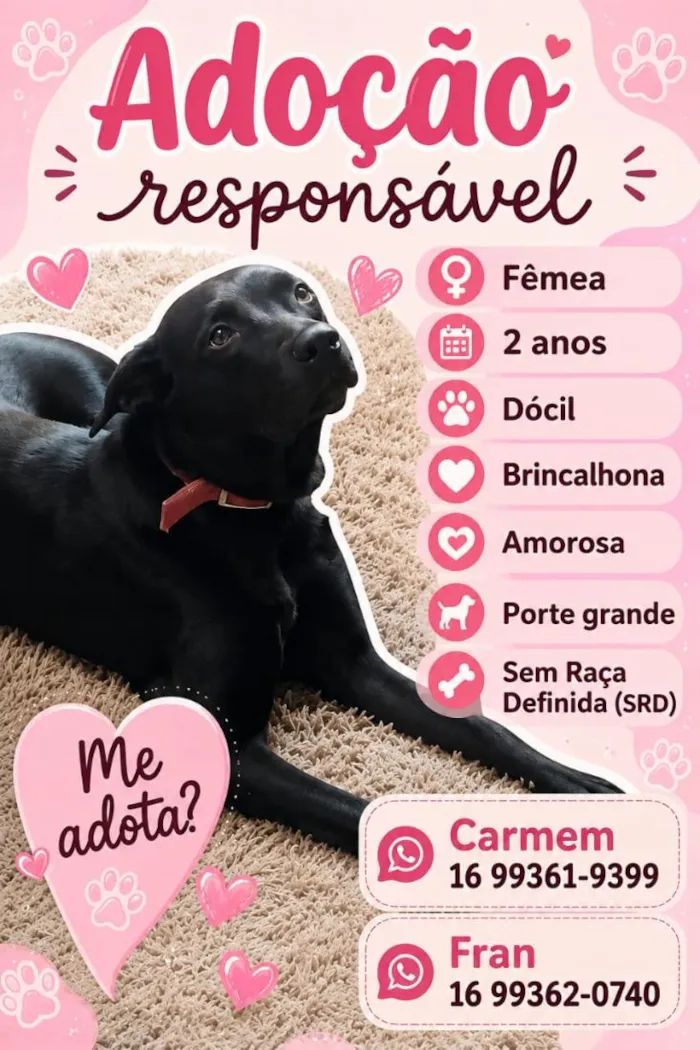 Cachorro raça SRD-ViraLata idade 2 anos nome Pandora