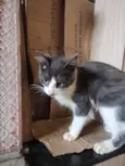 Soninha e seus filhos