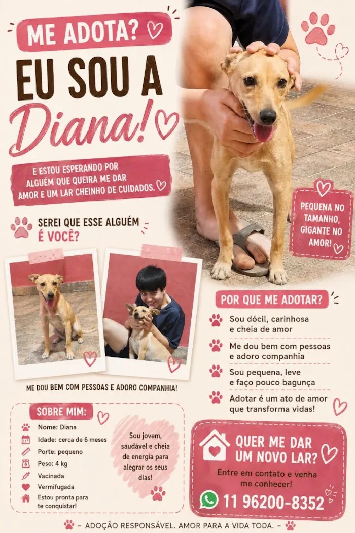 Cachorro raça SRD-ViraLata idade 1 ano nome Diana