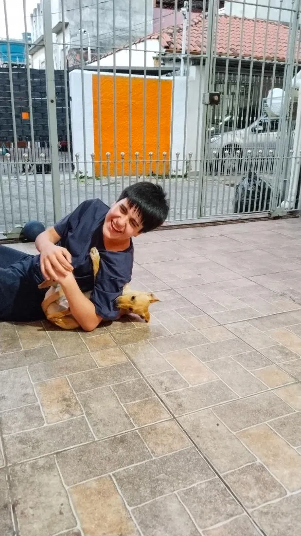 Cachorro raça SRD-ViraLata idade 1 ano nome Diana