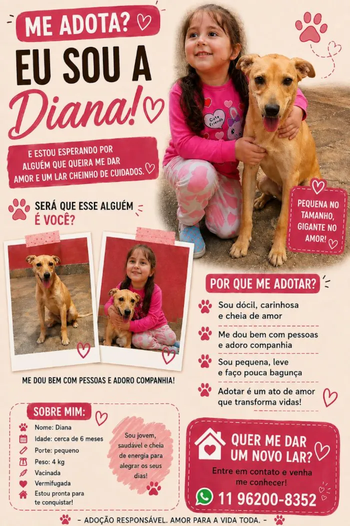 Cachorro raça Pinscher idade 2 a 6 meses nome Diana