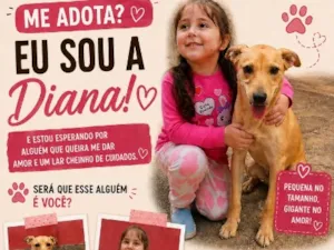 Cachorro raça Pinscher idade 2 a 6 meses nome Diana