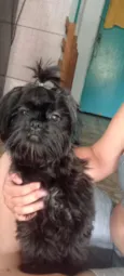 lua 