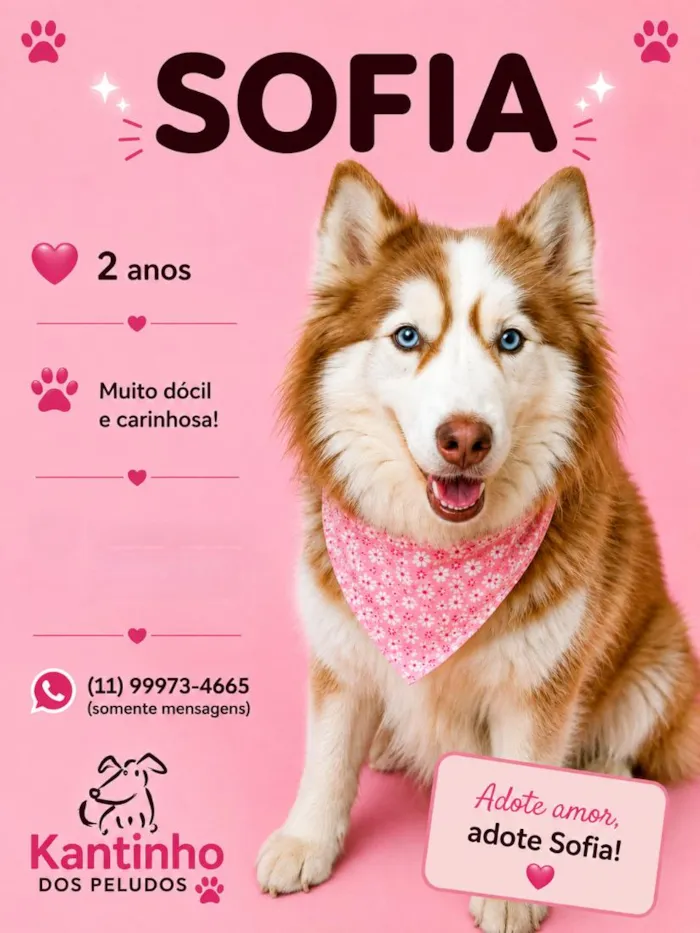 Cachorro raça SRD-ViraLata idade 2 anos nome Sofia