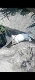 não sei o nome 