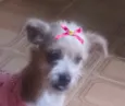 Mel