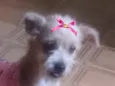 Mel