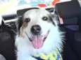 Bob