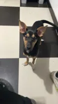 Spike