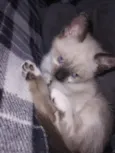 Chloe 