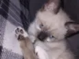 Chloe 