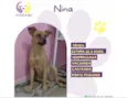 Nina