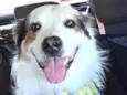 Bob