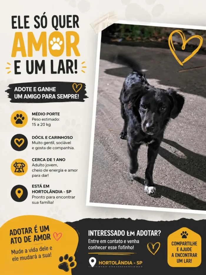 Cachorro raça SRD-ViraLata idade 1 ano nome Preto