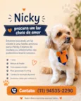 Nicky
