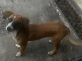 Nina 