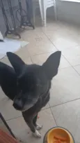 Mel